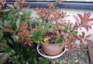 �J�i�����`