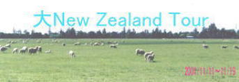 Great New Zealand Tour