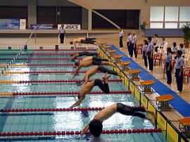 �X�|�[�c�}�X�^�[�Y�É����