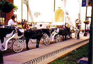 Carriage